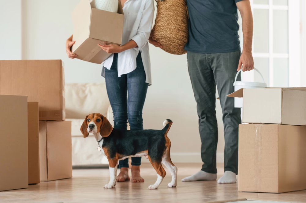 How to Plan a Move with Pets: Stress-Free Tips